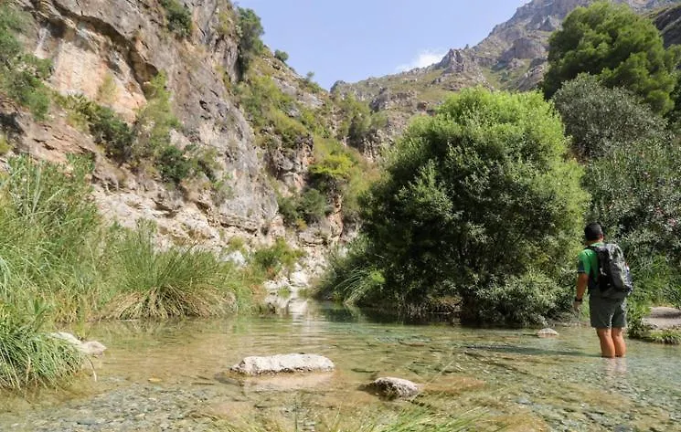 Competa Suites